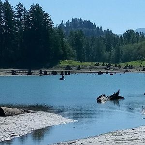 Meet your Posher, Lucy